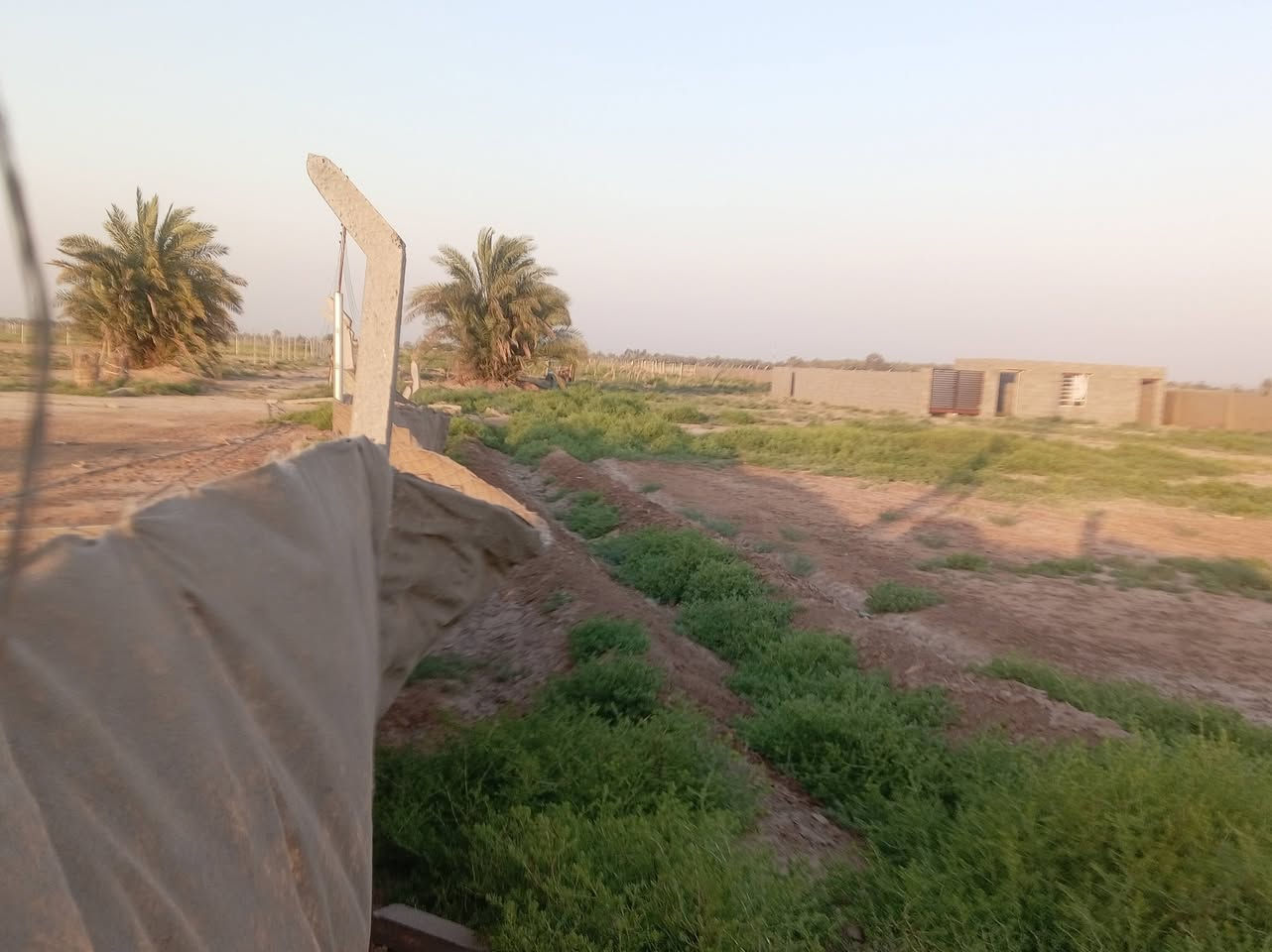بستان للبيع طابو زراعي سند ٢٥ يقع في الصويرة الغراوية مقاطعه
١٩/٥ الواجهة ٤٠ النزال ٥٥يحتوي مولد ١٦ kv  وعلى ٦٠٠ فسائل نخيل بريم ومكتوم وعلى منظومة ماء سقى بالتقطير يبعد عن حي السلام ٥٠٠م
للاستفسار الاتصال على الرقم
***********
