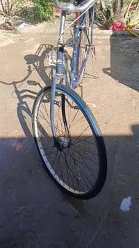 باسكل • طورويج • سعر خاص