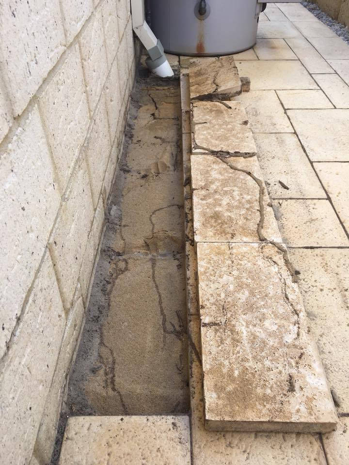 مكافحة الارضة #اتصل_الان ***********
بيت - دائرة - مجمعات سكنية - مدرسة

مع شركة الروان الزراعية لكشف ومعالجة حشرة الارضة بجهاز السونار

وكادر هندسي متخصص

 #العراق #بغداد #بيوت #مجموعة #الجميع

#المنصور #الناصريه #رمادي

💥 ضمان 5 سنوات

‏‎ ✅ كوادرنا تعمل على مدار 24 ساعة 

📌 سارع الان باتخاذ القرار الصحيح وتخلص من حشرة الأرضة

🏢 فروعنا متوفرة بكل بغداد وتكدرون تزورونا 

 ☎️ الاستفسار اكثر او الاتصال على ***********

او مراسلة صفحتنا على الواتساب***********
