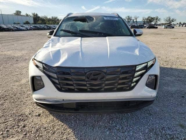 السلام عليكم للبيع فقط 
هونداي توسان موديل 2024 
وارد امريكي رقم بغداد دولي تحويل مباشر 
حادث سطحي تبديل بنيد وجاملغ بدون صبغ نفس اللون وبارد بأخر  القماره (بدون ايرباك)
السياره مواصفات SEL 
فتحه 
بصمه عداد(27000)كيلو متر
رادارات جانبي وامامي 
جلد (السعر190)
وبعد بيها هواي مواصفات 
مكان السياره بغداد /بسمايه 
للاستفسار /***********
