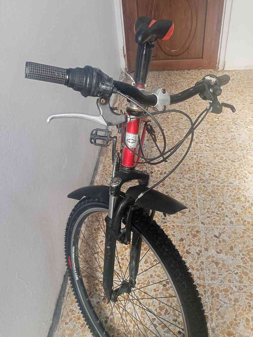 باسيكل شوفرليت للبيع طخم تايرات جديد ابريكات جديده باسيكل جاهز السعر 100وبي مجال العنوان حي السماح
رقمي ***********
