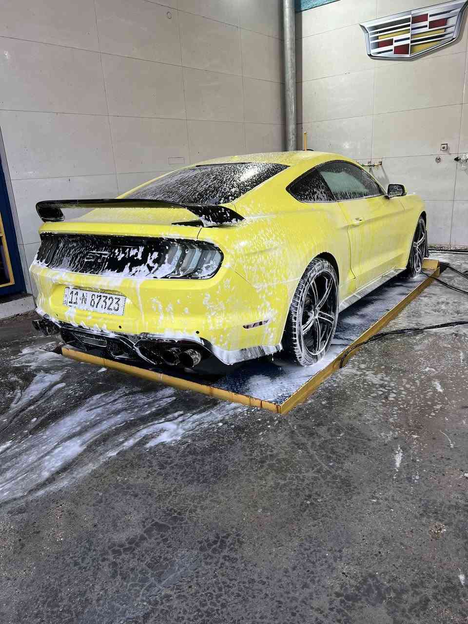 سلام عليكم اقره تفاصيله كامله
   (ملاحضه شرطاذامو لاعابه واحلى من الصور تاخذها بلاش )
 رقم انكليزي بغداد بسمي 

هزه سنويه ورقام جديد قبل شهر تحولت السيارة 

وبجم محدث 21 شيلبي 

ماشيه 70 الف

فجوج بريمبو الفج الجبير

شاشه جبيره وكامره

كشنات جلد وكهرباء وتدفئه وتبريد

دشبول 7 الوان

لايت زنون 

اكس بايب وكزوز كورسا صوته حلو

عليه برمجه وطلقات رعب 

السيارة كلش قوية 
مكينه مفتوحة بس شرط ترايها ساحة ودوسات 

كير ومكينه وصدر وتبريد مكفولات

صور الحادث بالمنشور السيارة 

مصبوغه عام صابغيها ليموني يخبل بيها نصبة بعد احلى من الصور 

 السعر 145 

***********

بيع او مراوس

مكان السيارة بغداد اليرموك
