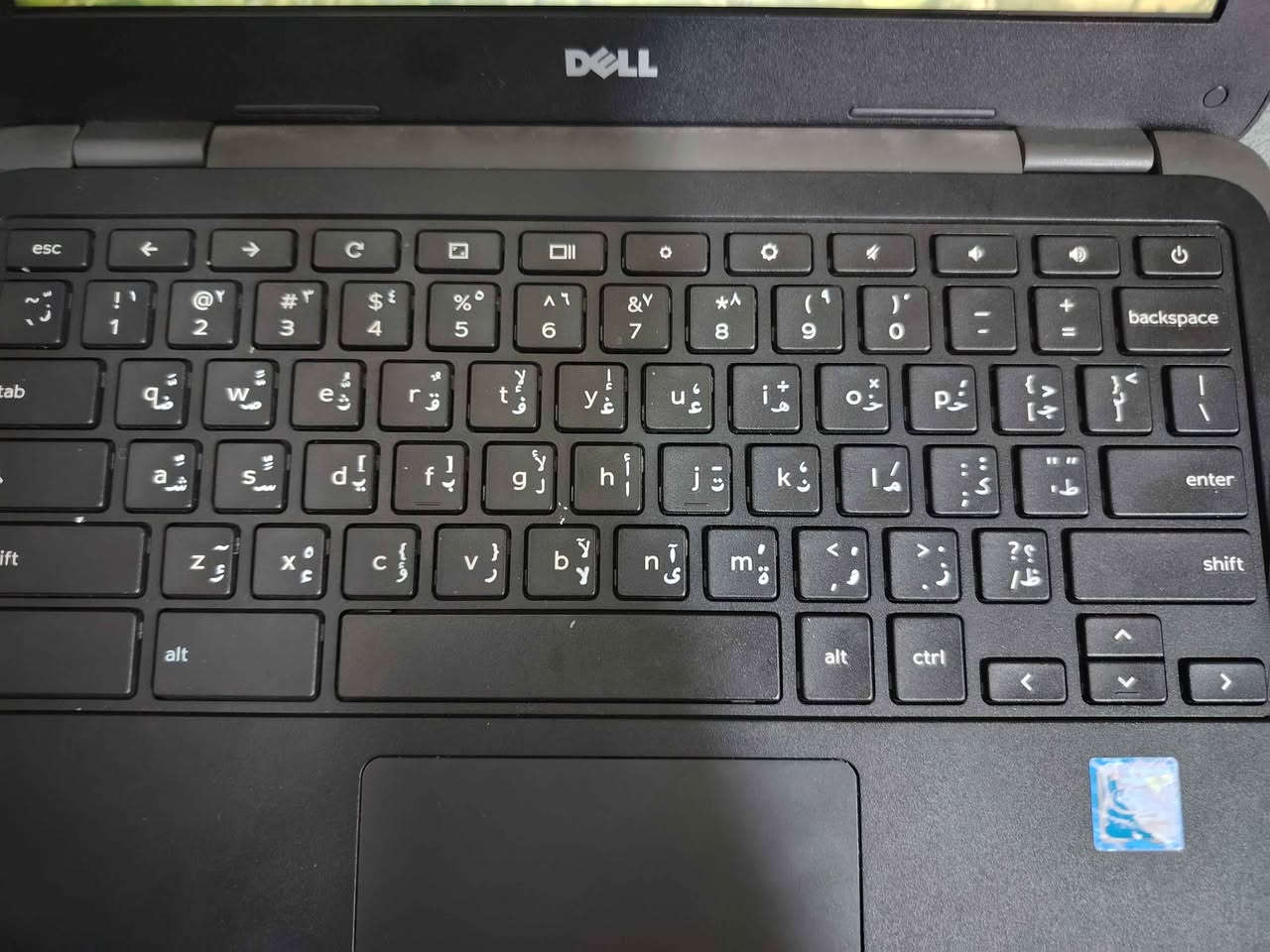 الجهاز جوجل كروم من شركه DEll أ
أخر خمسه قطع للبيع السعر 45,000 مع التوصيل داخل النجف فقط الاجهزه المستخدمه اوروبي ينفع للدراسه والمشاهده اليوتيوب والتيك توك وباقي التطبيقات مع الشاحنه الماوس؟ النجف, العراق


**إذا كنت صاحب هذا الإعلان وتريد حذفه لأي سبب، رجاءا أرسل رسالة إلى الدعم الفني**