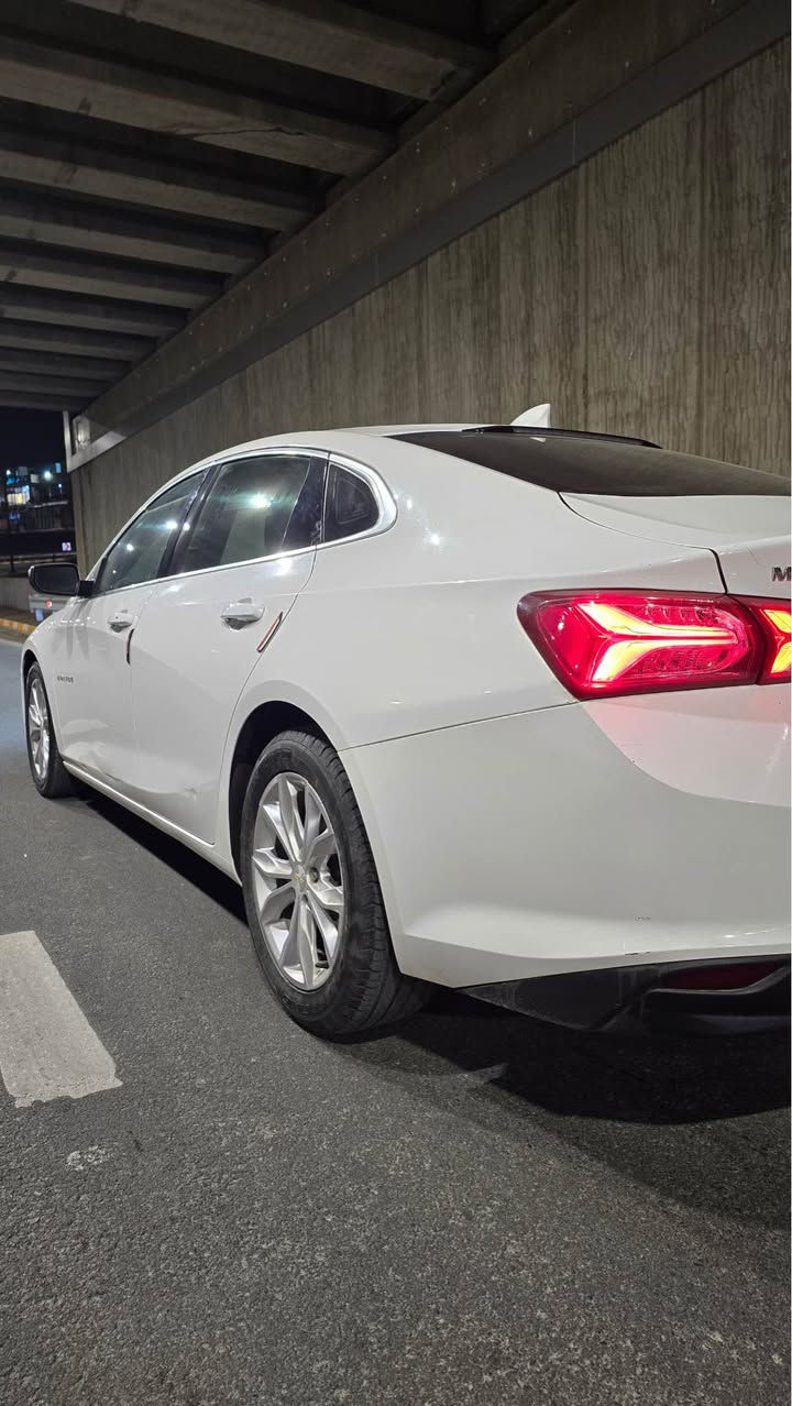 سەرەتا بە ناوی خوای گەورە 
شۆفلێت مالیبۆ ٢٠٢٠  

  نموونەیە لە جوانی
مواسەفات LT1
دەبڵ گێڕ (عادی، ئۆتۆماتیک) 
بەسمە
شەغال 
دوو دەرگای پێشەوەی بەسمەیە 
تراکشن کۆنتڕۆڵ
تەبرید مەرکەزی 
سوکان ڤۆلیۆم 
تەحدید سورعە 
کوشن کارەبا 
 بلووتوز USB.AUX 
کارپلەی 
تەبرید لای سیایەق و لای سەکن بە جیا 
شاشە گەورە 
لایت ئۆتۆ 
لایت زینۆن و عەدەسە 
لایت پێشو و دووا لید 
ئاوێنە کارە با 
شاشە  
٤ جام کرەبا و ئۆتۆ 
ئاوێنە دژەفول

((سەیارەکە چەمەلەغی لای سەکنی بۆیاخە لەگەڵ پەڵەیەک لە بۆنیتەکەی))
ناوی نەگرتوە بە شەرت مەعجونی تیانیە بەشەرت 
پشتوو پێشی کەپسە(  ئێرباگ بەس شان تەقیوە و سیستەم کراوەتەوە مەزبووتە ) 
 کامل سێرڤس کراوە. ڕۆن و فلتەر و پاتری  تازەیە

سەیارەکە زۆر تازەیە ٤ تایەی لۆک 
(گێڕ مەکینە نەکراوەتەوە ، تەقە و ڕەقە ، تەبرید،کارەبایەت.بەردی ساڵۆنسا ) 
هەر هەمووی بەشەرت زۆر بێ عەیب و مەزبووت 
تەحویل غەرامە و وەکالەت بەشەرت 
هەزە و بەڕاد و سەنەوی ژینگەو ڕێگەو بان  تازەیە  ٢٠٢٨ 
بەس ماشەڵای ئەوێت 

تێبینی / ڕەقەم انصی دانراوە

  نرخی ١١٠ گەڵا کۆتای ماڵی دۆستە 
ناونیشان/سلێمانی
ڕەقەم تەلەفوون/ *********** السليمانية, العراق
