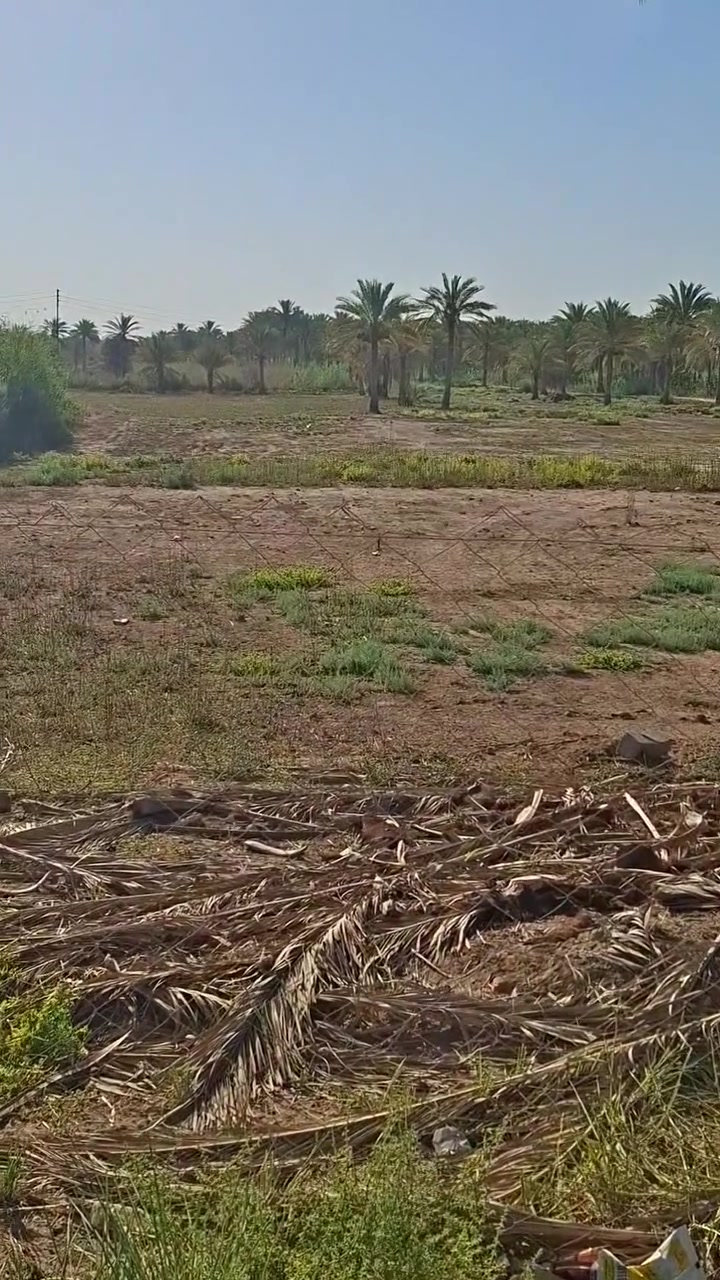 دونم مباشر عالشارع سند ٢٥ واجهيه ١٦ متر ونزال ١٤٠ من وسط الدونم يصير عرضه ٢٣ متر 
(منطقه السياحي ابو طماطه )
تجاريه سكنيه تصلح مخازن 

شارع تبليط عالجدول مباشرة 
للاستفسار  ***********
***********
