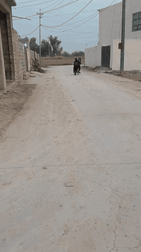 السلام عليكم
للبيع قطعتين بالخلف الخضر قريب ع الجامع 
الواجه ١٨ متر والنزال ٢٨ المساحه الكلي ٥٠٤ 
#السعر ٣٥ وبيها 
***********
