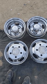 تخم كوستر17,5ياباني. *********** توصيل جميع محافظات العراق
