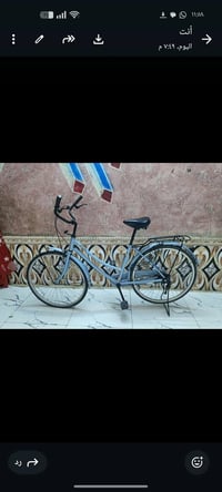 باسكل • ٢٦ • نضيف