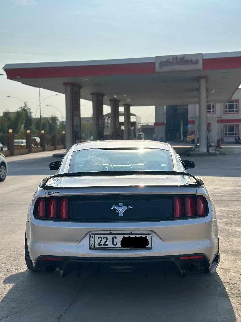 السلام عليكم
موستنگ 2015 V6 

لون سلفر 

رقم شمالي أربيل الجديد 

سنوية وهزة جدد لل2030

حادث كلش خفيف بجم كبس جامرلغ الخلفي وباب صبغ 

عدة القطعتين الباقي كفالة 

دواخل كلها بشرط

سونار كامل موجود 

مكينة گير اكسل بالشرط 

الاضافات 

شباك RTR 

لحية 

ويالة ڤوسن حجم 20 

سكوبات مراية وجام 

شاشة جبيرة 

جناح 

دفيوزر 

السيارة نظيفة بشكل وجاهزة بدون مصرف غرفتها وضع شركة 

مكانها كركوك 

السعر 138

*********** بي واتس كركوك, العراق
