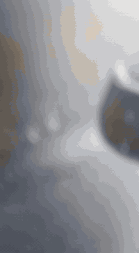 دراجة ياماها • عاطلة • فحل