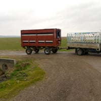 عربانه تركي • ٣٠ ورقه • كركوك