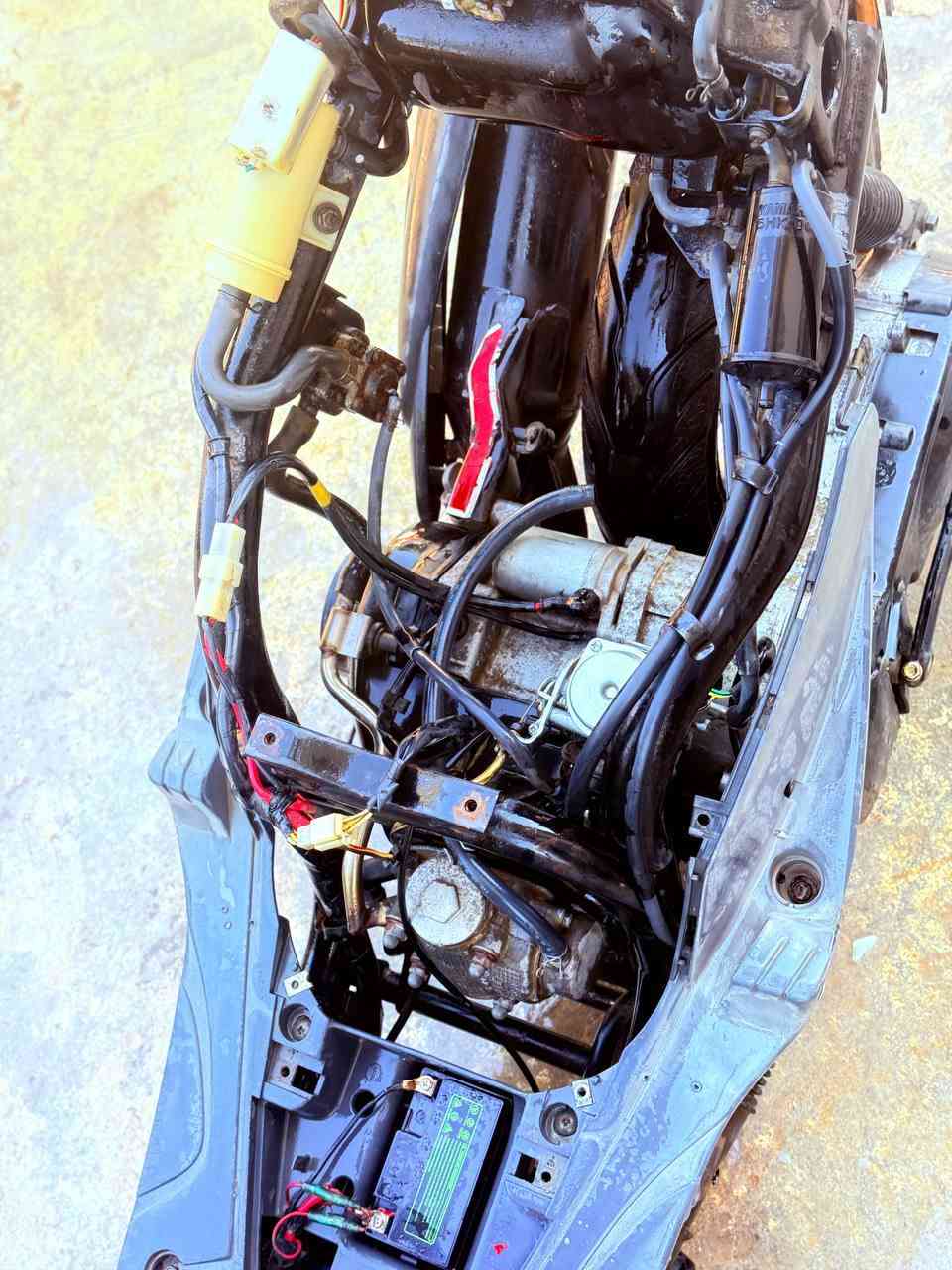 سلام عليكم ماكس منغولي للبيع كفاله عامه مكينه برغي ما مفتوح تكفله المكينه شراي تصل بيك خير وتدلل ***********
