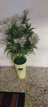 سندانه • ما بيه كسر • مدينه الصدر