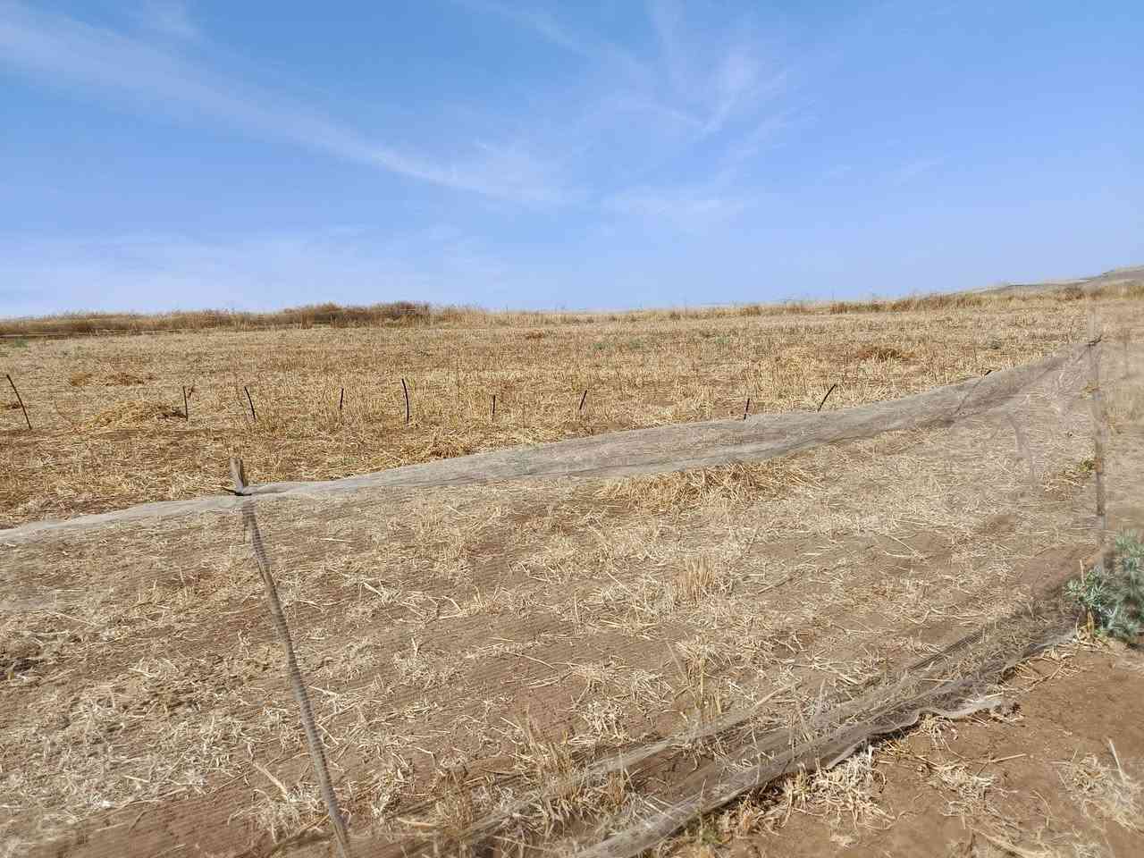 اعلان أرض فلاحية للبيع تيتر مساحة 4000 متر على طريق 💧🌾🌾🌾🌾🌾🌾🌾 كات واجد جماعة حودران ضي رومي إقليم الخميسات الثمن 15


**إذا كنت صاحب هذا الإعلان وتريد حذفه لأي سبب، رجاءا أرسل رسالة إلى الدعم الفني**