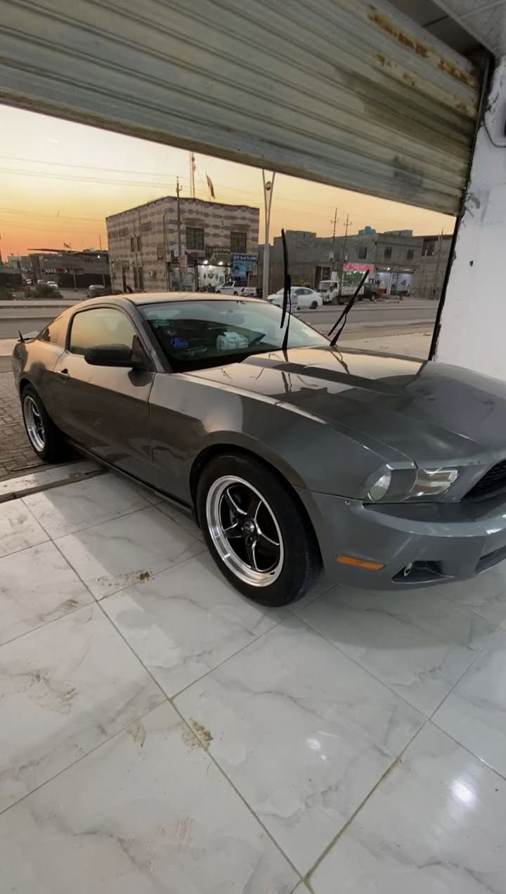 سلام عليكم موستنك v6مديل 12مصبوغه حزام كير محرك كفاله حداده جديده كامله دواخل نضيف كلش سياره جاهزه من كلشي سنويه ل 26اليف صاحبه بلبصره وياله جدد تايرات جدد سياره كلشي ع لبلاد سعر 78
لاستفسار  ***********
