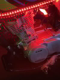 تايكر 2025 • نضافة فول • عوينات تكريت