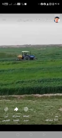 ٣٠٠دونم • ٥٠٠م عن الشط • نهر المالح