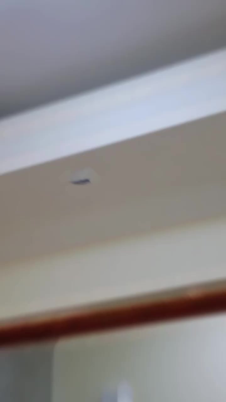 💥ـ صباغ متفرغ ـ💥
💥جبس بورد/سحب جبس +فلين + 💥فوم / صبغ داخلي + خارجي / مانع 💥رطوبه اسطح/ صبغ💥 خشب+حديد💥بوب وشبابيك/💥
💥***********💥
