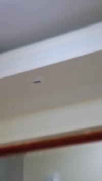 💥ـ صباغ متفرغ ـ💥 💥جبس بورد/سحب جبس +فلين + 💥فوم / صبغ داخلي + خارجي / ...