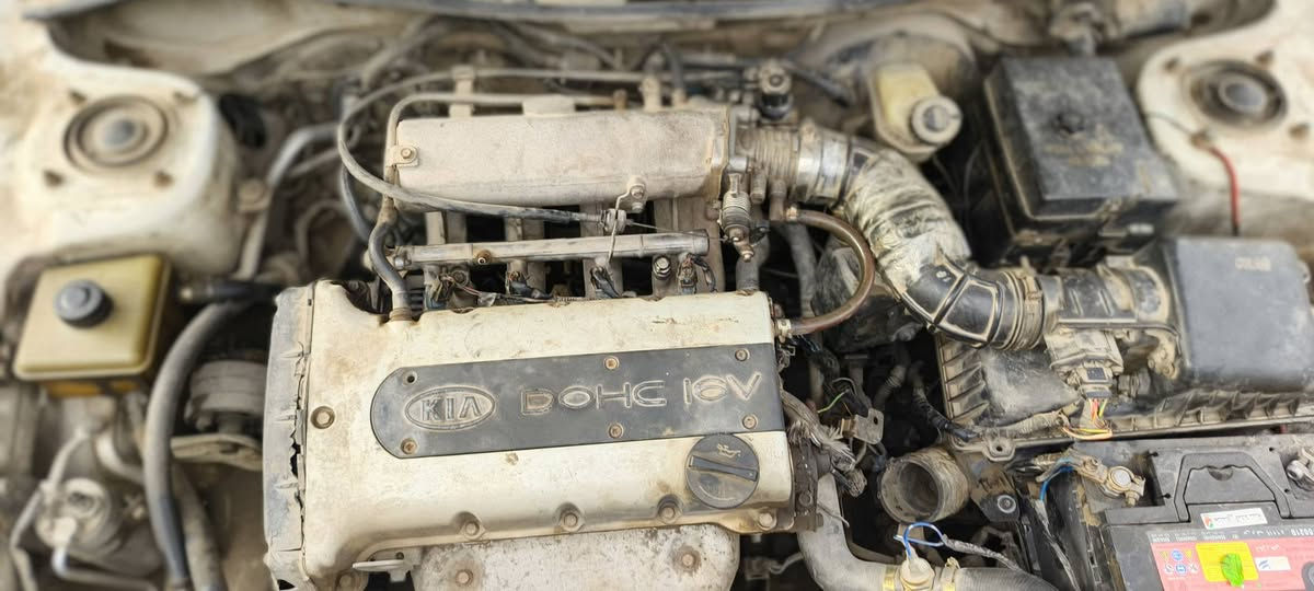 السلام عليكم
سيفيا م 2000 رقم بغداد انكليزي بأسمي
شرط التحويل كله شغالة ب45 وبيه مجال
مكاني بغداد م الصدر ***********
