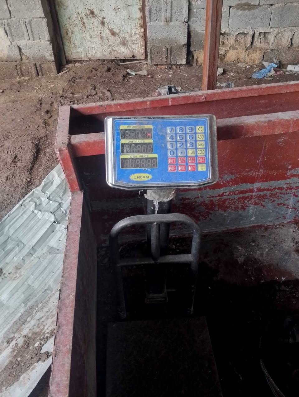 غراض سمك استخدام اقل شهرين
مناسبات حوض مال سياره روبن غطاس ميزان 
***********
