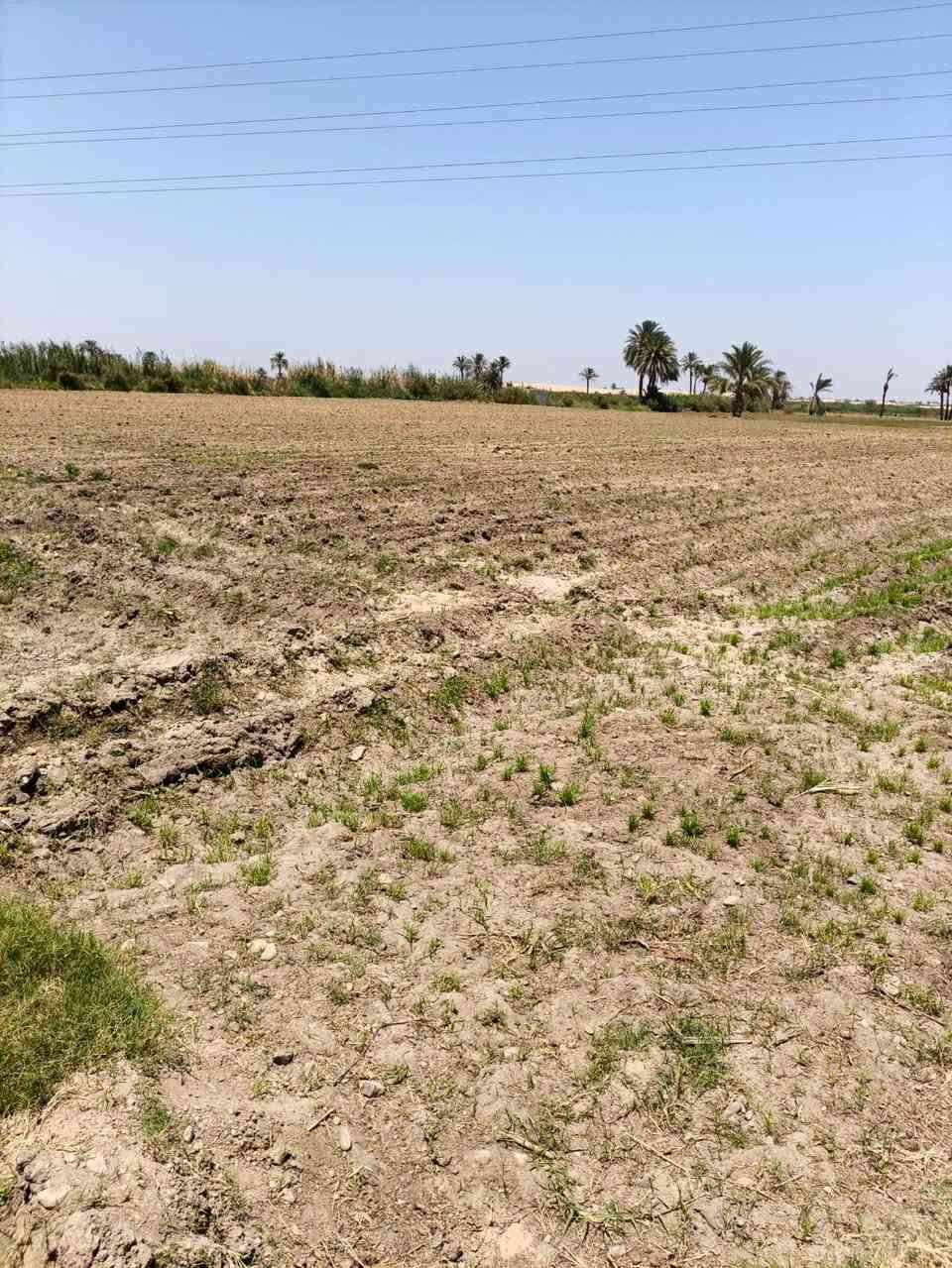 4فدان بالمنيا بقلب القري الأرض بتشرب بحاري.. التواصل فون 01102340586


**إذا كنت صاحب هذا الإعلان وتريد حذفه لأي سبب، رجاءا أرسل رسالة إلى الدعم الفني**
