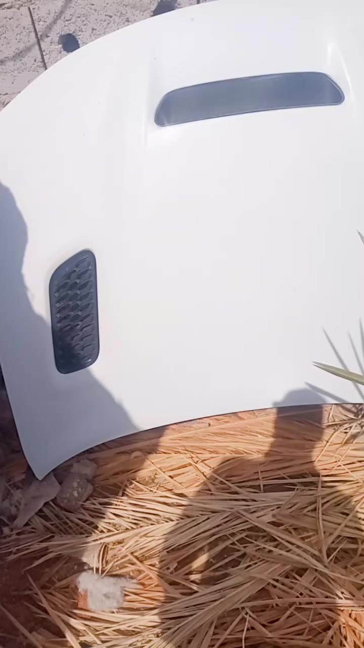 بنيد جارجر 16  قيم واخذ جلخ ما بي ***********
