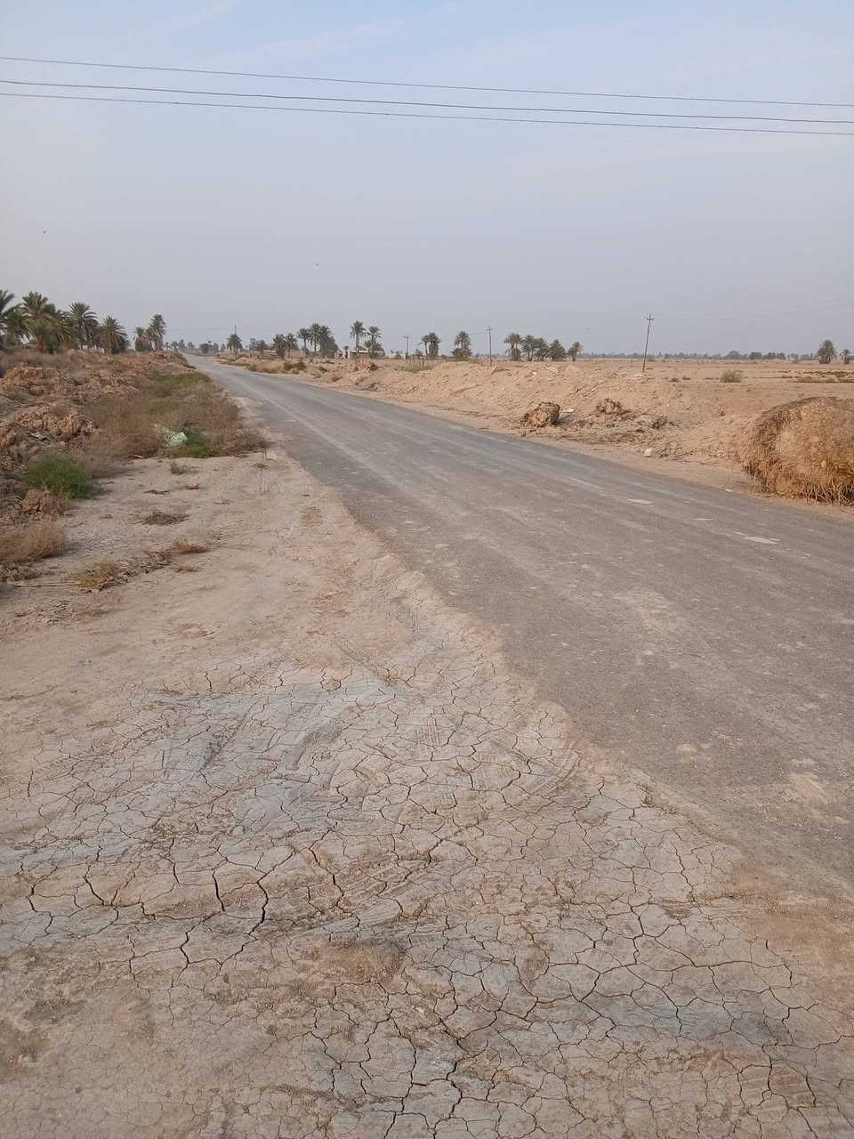 السلام عليكم ارض البيع ٢٠دونم مع بيوت اثنين حديثات العنوان بابل جبلة رشايد واتساب ***********
