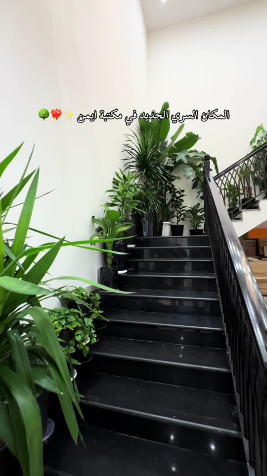 للحجز او معرفة سعر حمل تطبيق مكتبة ايمن #مكتبة_أيمن #مكتبة_أيمن_شارع_الوفود #مكتبة_أيمن_شارع_البهو #مكتبة_أيمن_القرطاسية_لعبتنا #عراق       


**إذا كنت صاحب هذا الإعلان وتريد حذفه لأي سبب، رجاءا أرسل رسالة إلى الدعم الفني**