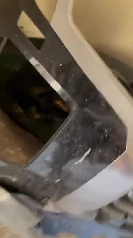 دعامية بلادية للبيع قيم وأخذ كلكرافي ٢٤ نقصها ربع جهة السايق


**إذا كنت صاحب هذا الإعلان وتريد حذفه لأي سبب، رجاءا أرسل رسالة إلى الدعم الفني**