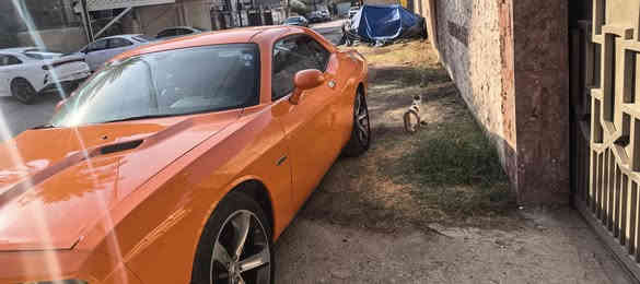 السلام عليكم
Challenger 2014
مئويه لون مميز ماشيه 109 ميل
بيها باب وجاملغ جهه السايق وربع البنيد
بدون ايرباك وانعاد صبغهن قبل اسبوع
كشنات جلد السايق كهرباء  تدفئه شفتات ستيرن حساسات خلفيه ويل 20 مختم مئويه  السعر 130 $
مكاني بغداد الجديده
***********
