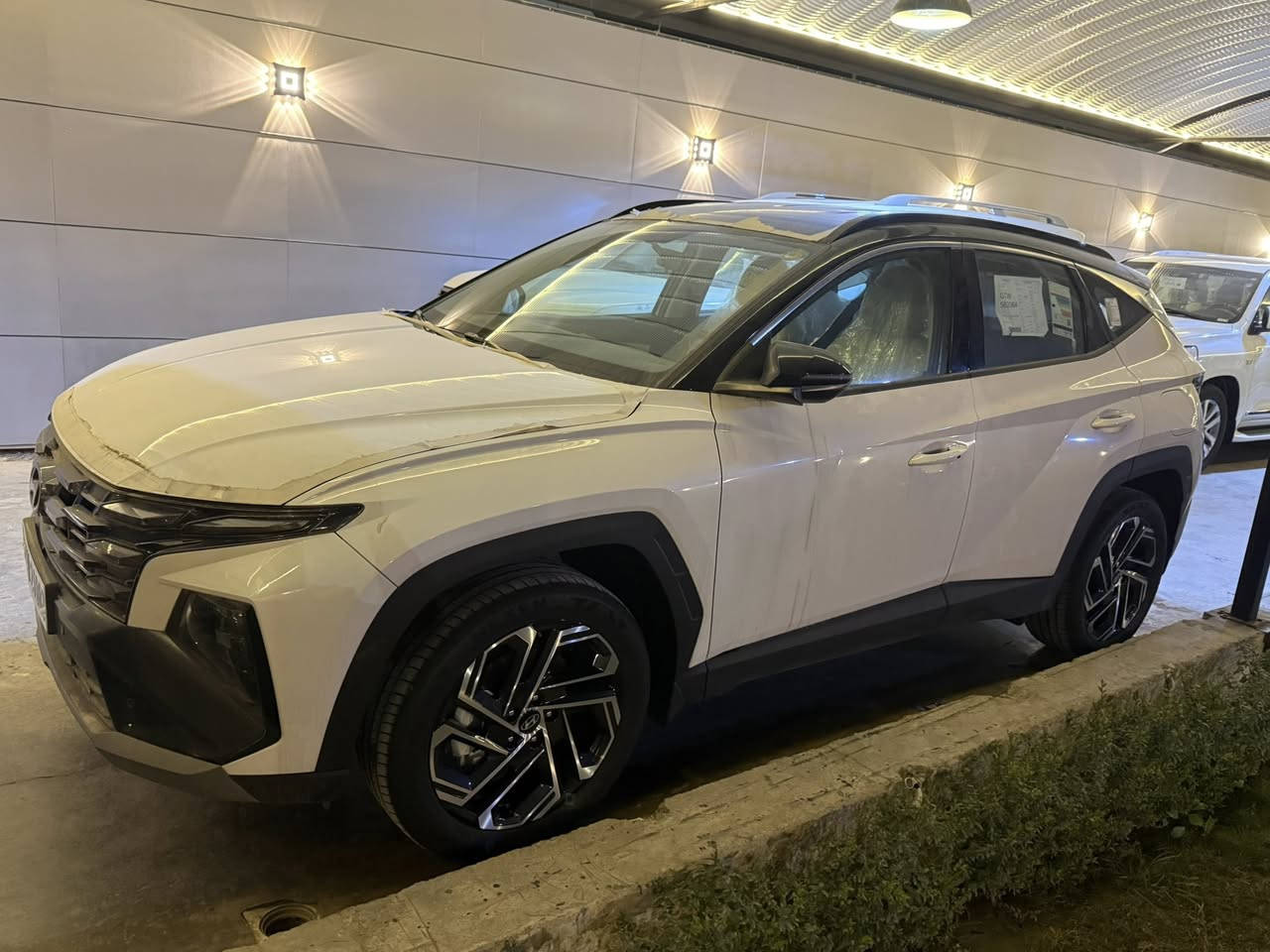 توسان خليجي زيرو قماره سوده موديل 2025 رقم أربيل سعرها 247

الشراي يتصل ويدلل واذا مراوس عادي اراوس حسب القناعه 
مكان بغداد الدوره

***********
***********
***********
***********
