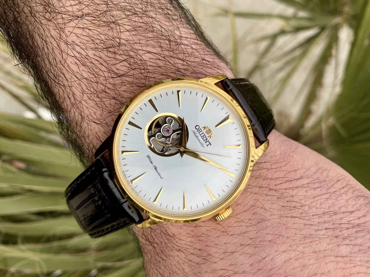 ORIENT
📍بسعر التكلفة 

الرجاء التواصل فقط للجادين 

.FAG02003W0  موديل 

Caliber FT622 Automatic  الماكنة

.Open Heart, Exhibition Caseback

.Approximately 40 Hours 

‎.وكالة كاملة المرفقات

‎.جمال الأورينت هنا مختلف جداً

‎.قلب مفتوح + ماكنة كشف

‎.اللون الذهبي بمينه ابيض

‎.السير جلد اصلي لون بيتنجاني

‎.50 متر تحت الماء

‎.مقاس 41 

.تخزين الطاقة يعمل بعد السكون 40 ساعه

*********** واتساب
