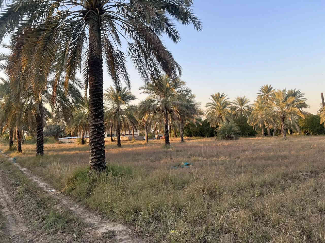 السلام عليكم
للبيع دونمين و500متر طابو سند 25 واجهة الأرض 55متر الموقع بغداد المدائن شارع سيد علي للاستفسار ***********
