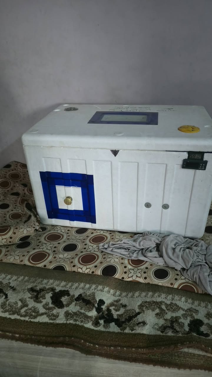 للبيع قيم وخذ انت وضميرك


**إذا كنت صاحب هذا الإعلان وتريد حذفه لأي سبب، رجاءا أرسل رسالة إلى الدعم الفني**