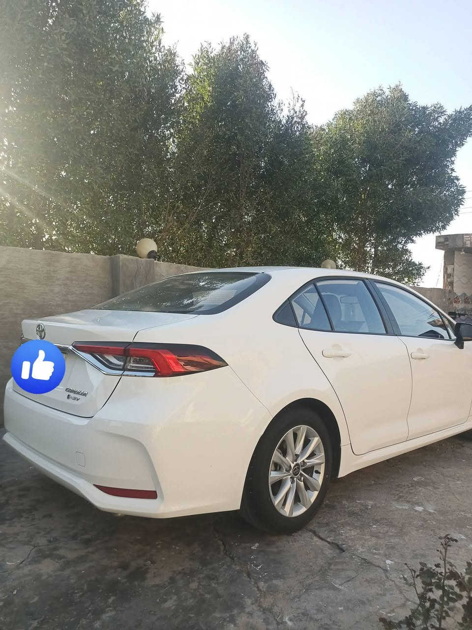 كورلا 2024 هايبرد شكل خليجي مكفوله كفاله عامه فول مواصفات ماشيه 30 حقيقي رقم بغداد مشروع وطني هزه سنويه جديده كير محرك صدر تبريد عل وضع الشركه السعر 147 وبيه مجال مكان سياره الانبار الكرمه ***********
