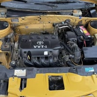 سمند • بدون صبغ • بغداد