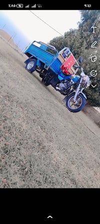ستوته • ٢٠١٨ • تواير توني شادهن