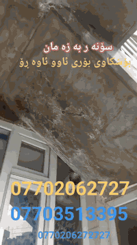 ***********
***********
