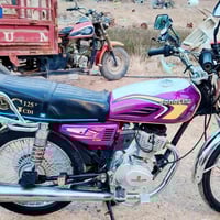 تايكر • موديل ٢٥ • أوراق كاملة