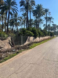 اسلام عليكم دونم للبيع العنوان بغداد الراشديه موقع ممتاز ومرتب طابو صر...