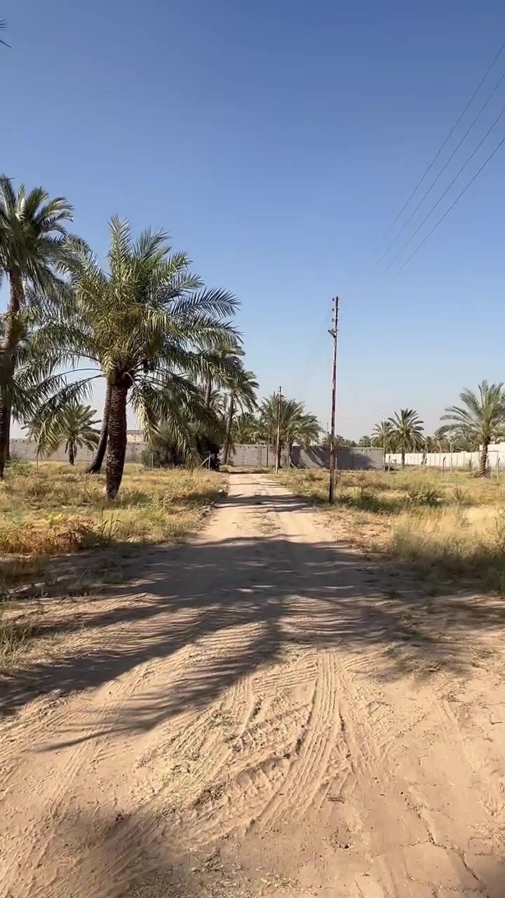 السلام عليكم 
دونم طابو ملك صرف 
وجه الدونم 60  ونزال 40 على شارع 8 متر 
المدائن شارع #سيد_علي 
 نص الدونم 30 متر ونزال 40 
للاستفسار ***********
#مكتب_عقارات_المدائن
