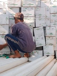 مجمع منتظر فاضل • شارع السده • جمله مفرد