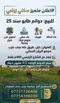 بابل • طريق حله نجف • ١ قطعة