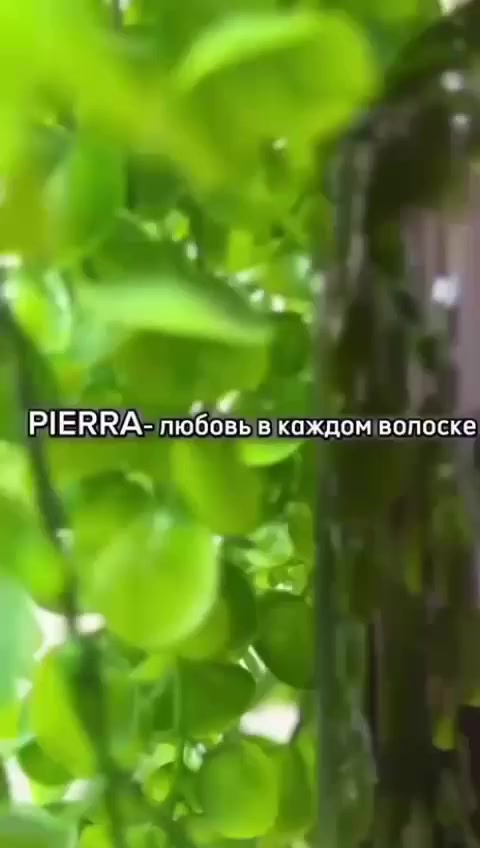 شامبو وبلسم وحمام زيتي وسيرم 
متوفر 
للتواصل على هذا الرقم ***********
