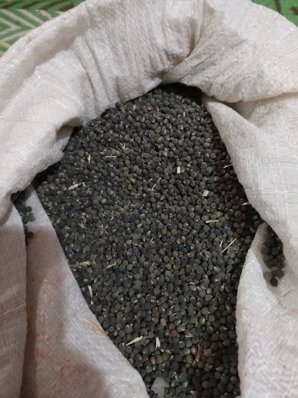 سلام عليكم يوجد الدينه بزر بانيه درجه وله  البيع سعر تصال عل رقم  ***********
