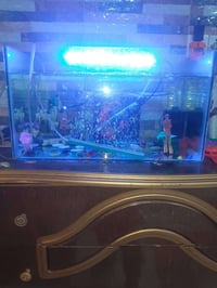 حوض سمك • للبيع