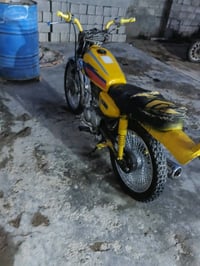 تايجر 300 • موديل ١٩ • البكان