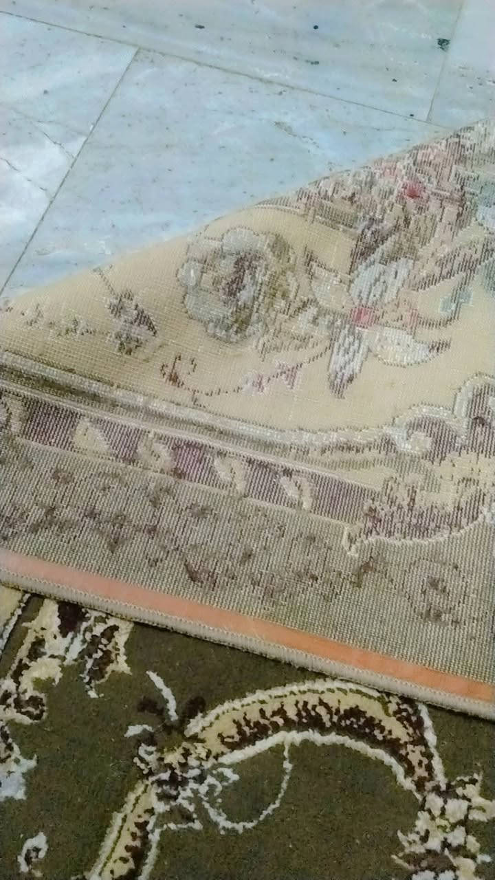 زوليه قياس 3 في 2 السعر 20 الف وبيه مجال العنوان حي التراث يم البياع


**إذا كنت صاحب هذا الإعلان وتريد حذفه لأي سبب، رجاءا أرسل رسالة إلى الدعم الفني**