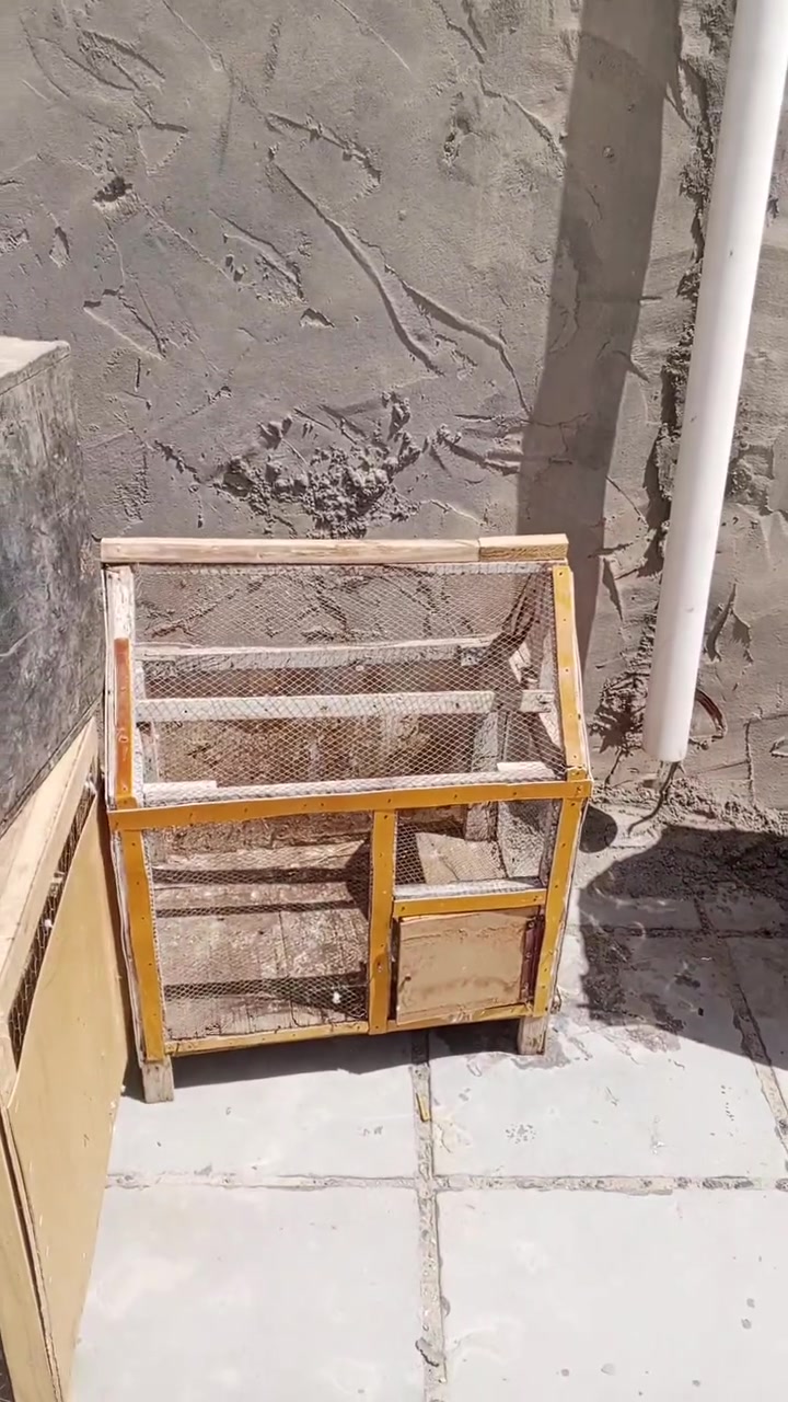 خانات ثنين ام الوحده قفص صغير للبيع كلهن 25 أو بيهن مجال


**إذا كنت صاحب هذا الإعلان وتريد حذفه لأي سبب، رجاءا أرسل رسالة إلى الدعم الفني**